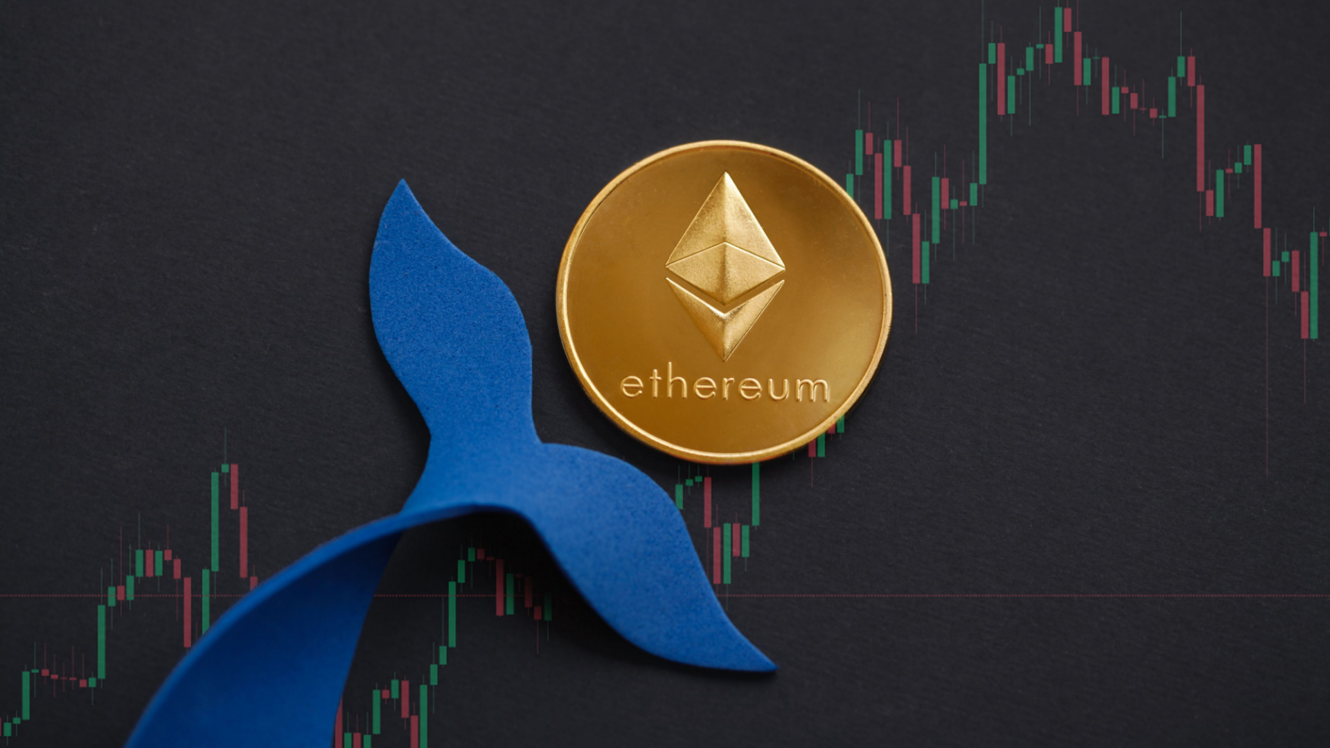 Ethereum Pre-Sale Investor Moves 10,000x Profit ETH to Exchange!