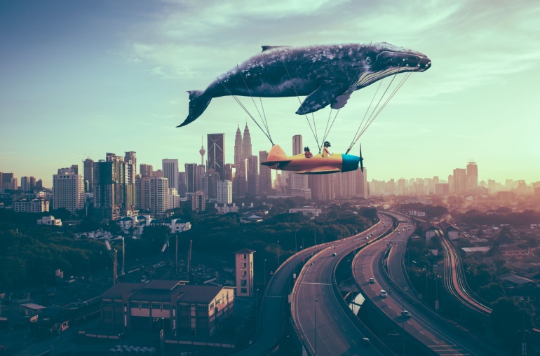 Whale Became the Biggest Investor by Buying Altcoin Before Bitcoin Halving!